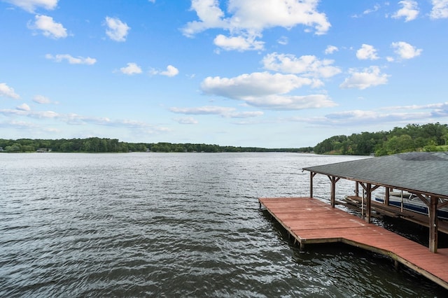 dock area with a water view