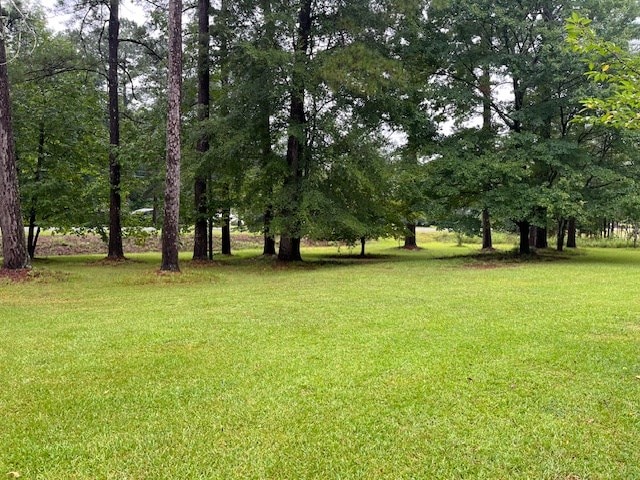 138 Mccullar Weaver Rd, Milledgeville, GA 31061 - photo 7