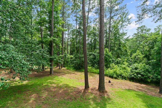 128 Wimbledon Ln, Macon, GA 31211 - photo 74
