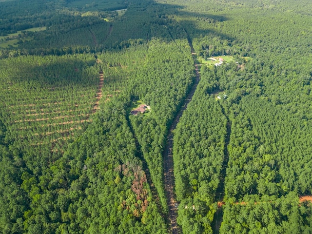 882 Gaissert Church Rd, Sparta, GA 31087 - aerial view