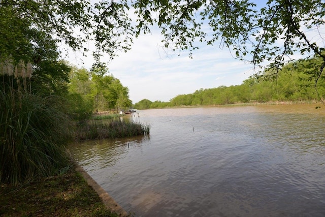 view of water feature with a view of trees