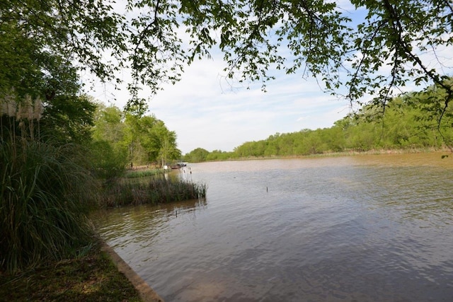 property view of water with a view of trees