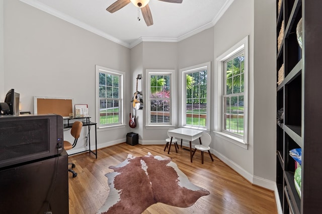 793 Greene Settlement Rd, Gray, GA 31032 - office featuring crown molding, ceiling fan, and wood finished floors