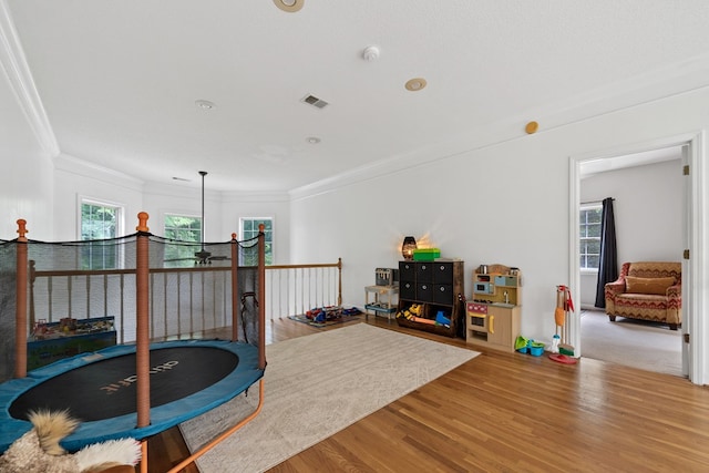 793 Greene Settlement Rd, Gray, GA 31032 - rec room featuring crown molding and wood finished floors