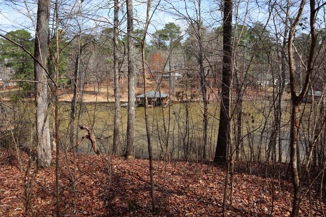 Listing photo 3 for LOT9 Dogwood Dr, Sparta GA 31087