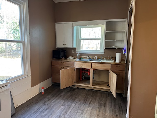 kitchen featuring a healthy amount of sunlight, dark wood-type flooring, sink, and range