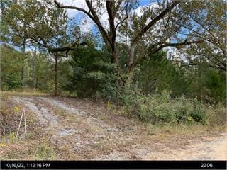 1300 Johns Golden, Milledgeville, GA 31061 - photo 1