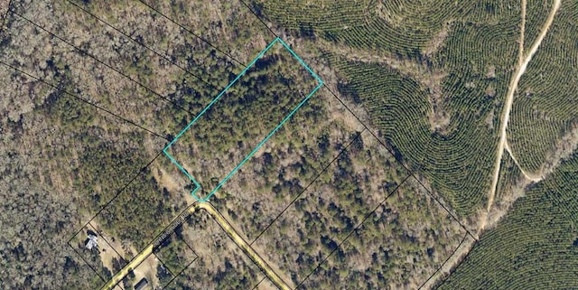1300 Johns Golden, Milledgeville, GA 31061 - photo 2