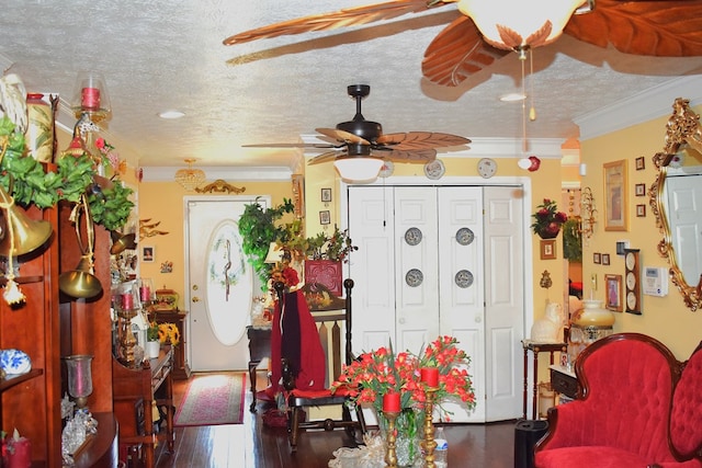 interior space with crown molding, a textured ceiling, dark hardwood / wood-style floors, and ceiling fan