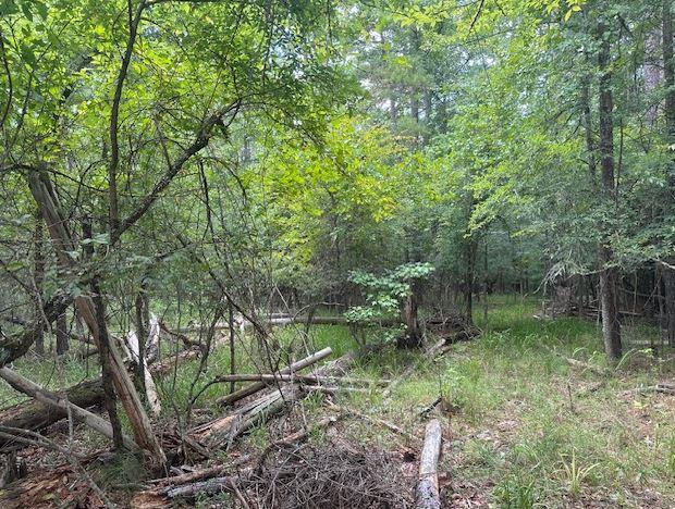 000 Pine Knl, Eatonton, GA 31024 - photo 1