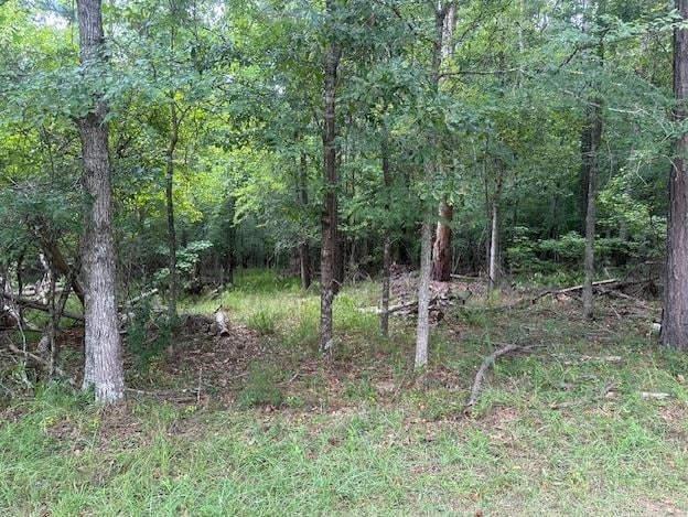 000 Pine Knl, Eatonton, GA 31024 - photo 4
