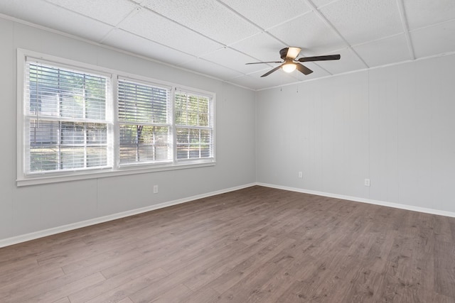 spare room featuring wood-type flooring, a drop ceiling, and ceiling fan