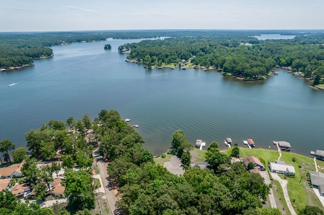 bird's eye view with a water view and a view of trees