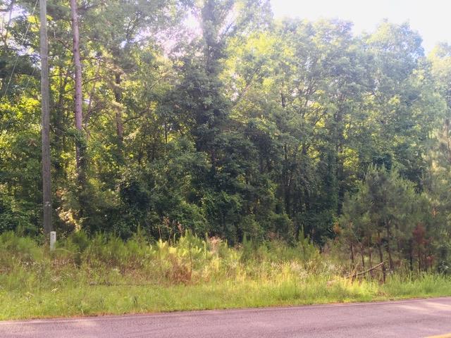 62 Anchore Pointe Dr, Eatonton, GA 31024