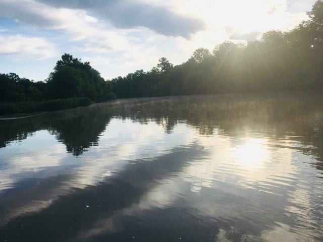62 Anchore Pointe Dr, Eatonton, GA 31024