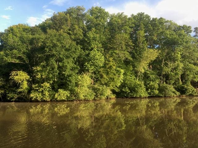 62 Anchore Pointe Dr, Eatonton, GA 31024