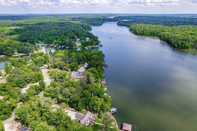 aerial view of a forest and a nearby body of water