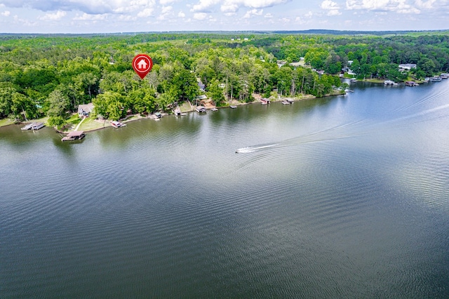 drone / aerial view of a forest and a nearby body of water