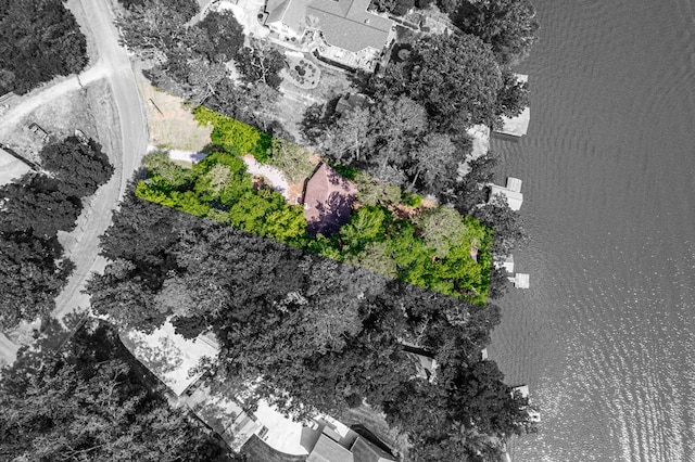 aerial view of a large body of water