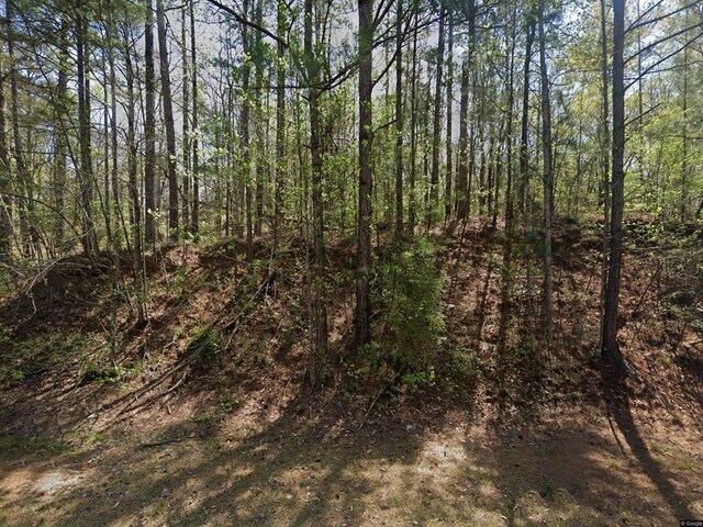 129 Jule Ingram Rd, Milledgeville, GA 31061 - photo 9