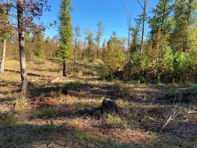 LOT3A Humber Ferry Rd, Eatonton, GA 31024