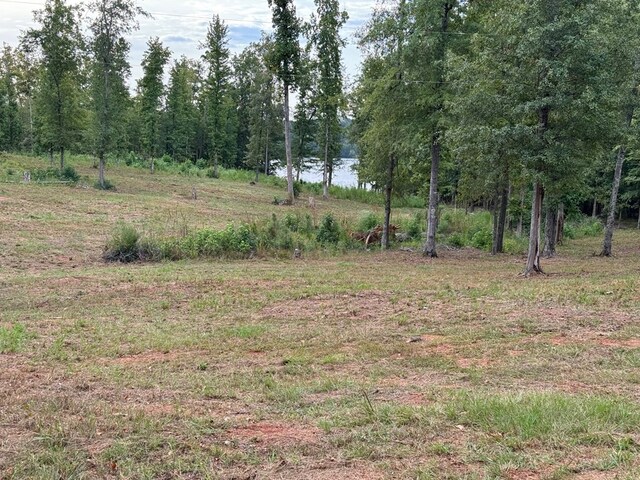 LOT3A Humber Ferry Rd, Eatonton, GA 31024