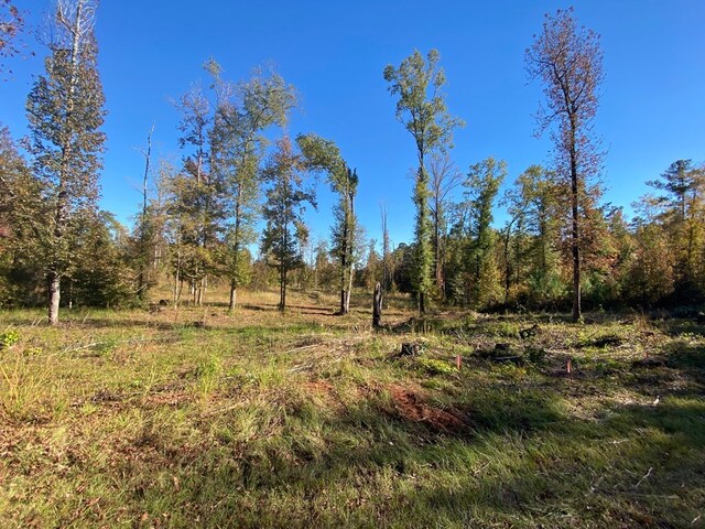 LOT3A Humber Ferry Rd, Eatonton, GA 31024