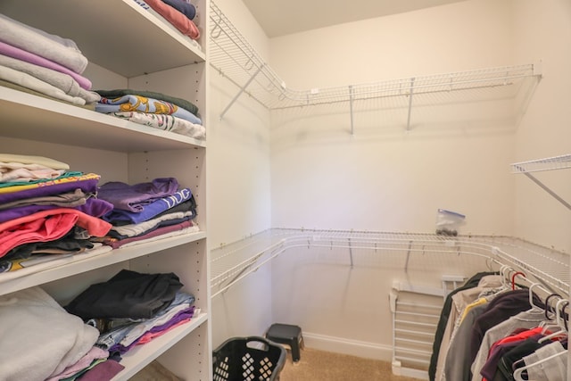 spacious closet with carpet