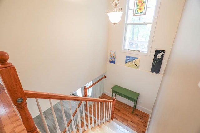 stairway featuring hardwood / wood-style flooring