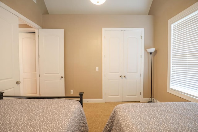 bedroom with carpet flooring, lofted ceiling, and multiple windows