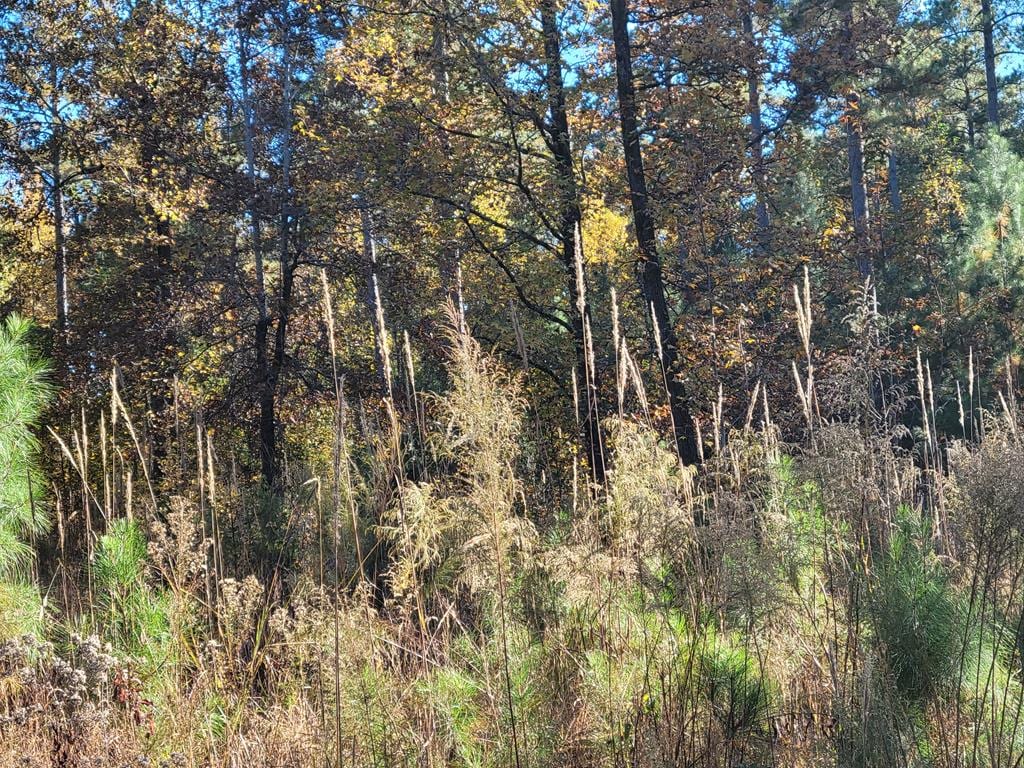 767 Parham Rd, Milledgeville, GA 31061