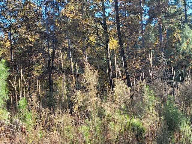 767 Parham Rd, Milledgeville, GA 31061