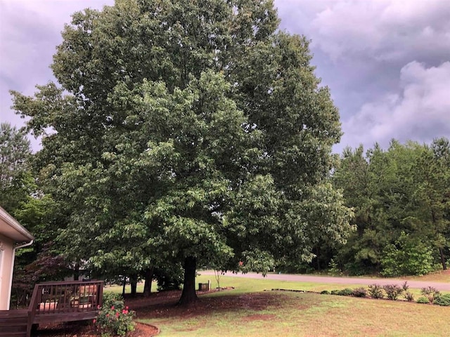 104 Wesley Ct, Eatonton, GA 31024 - view of green lawn featuring a wooden deck