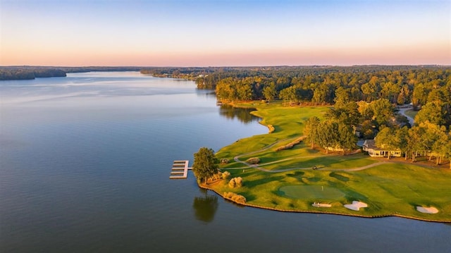 drone / aerial view featuring a water view and a view of trees