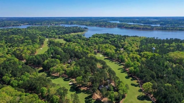 drone / aerial view with a water view and a view of trees