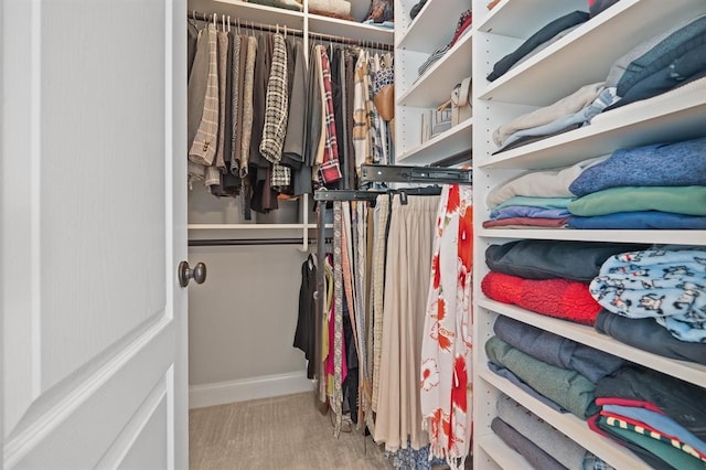 view of walk in closet
