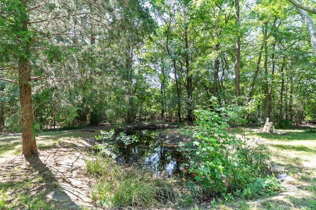 671 Madison Rd, Eatonton, GA 31024 - photo 95