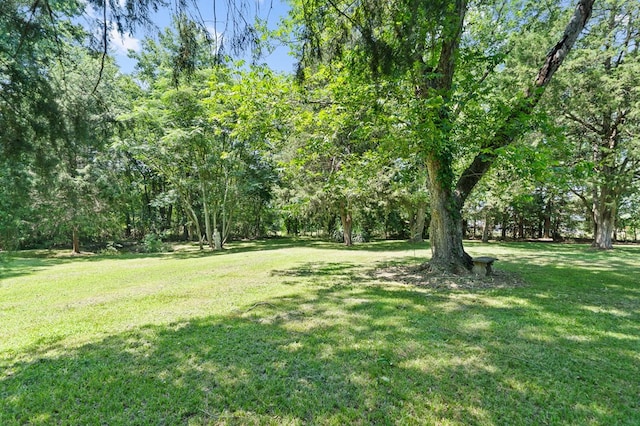 671 Madison Rd, Eatonton, GA 31024 - photo 97
