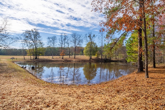 view of water feature