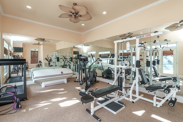 exercise room with crown molding, carpet, and ceiling fan