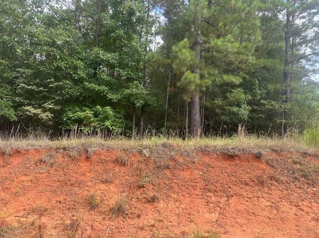 000 Dennis Sta, Eatonton, GA 31024 - photo 1