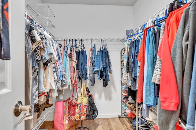 walk in closet featuring hardwood / wood-style flooring