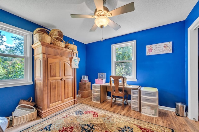 office space featuring a wealth of natural light, wood-type flooring, and a textured ceiling