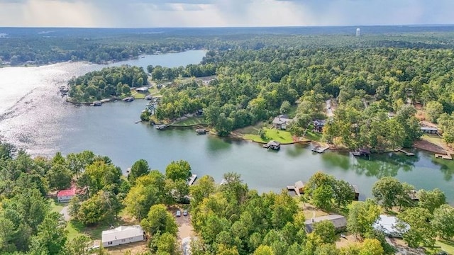 birds eye view of property featuring a water view and a view of trees