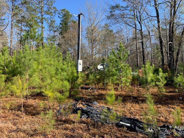 121 County Line Church Rd, Milledgeville, GA 31061 - photo 21