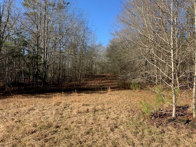 121 County Line Church Rd, Milledgeville, GA 31061 - photo 17