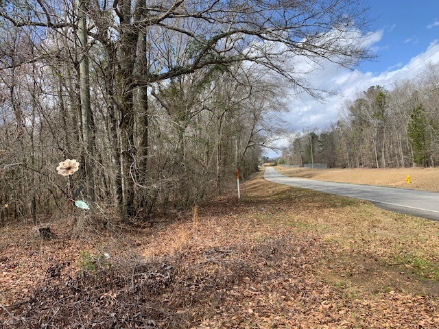 121 County Line Church Rd, Milledgeville, GA 31061 - photo 6