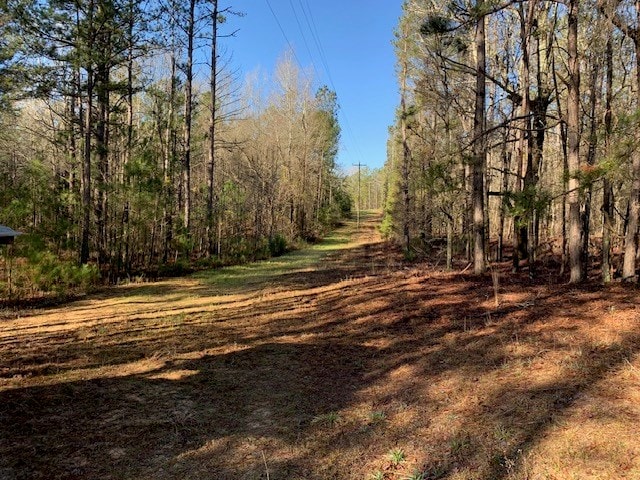 121 County Line Church Rd, Milledgeville, GA 31061 - photo 2