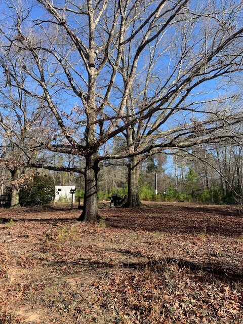 121 County Line Church Rd, Milledgeville, GA 31061 - photo 16