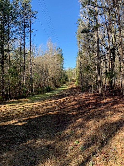 121 County Line Church Rd, Milledgeville, GA 31061 - photo 12